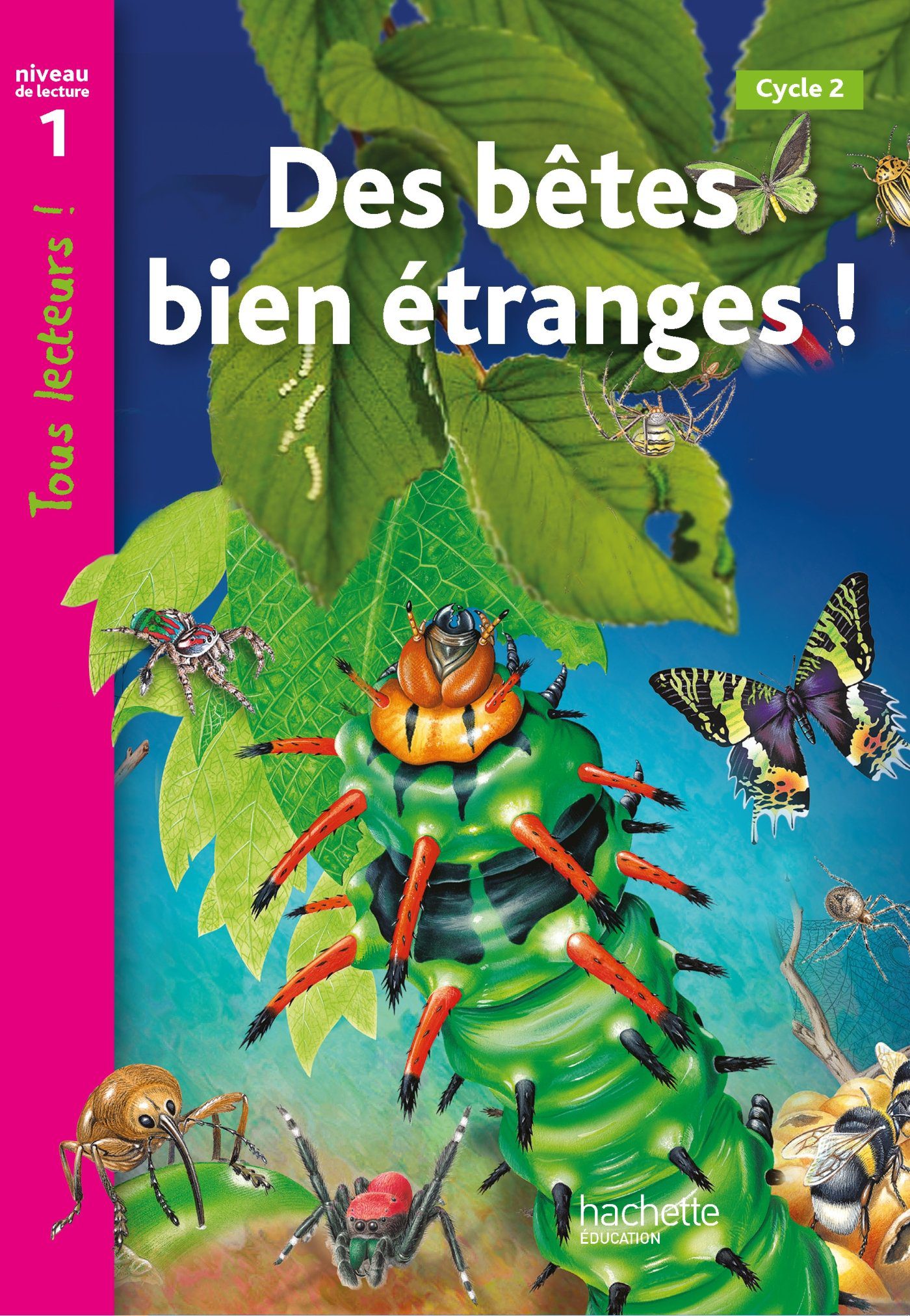 Des bêtes bien étranges Hachette