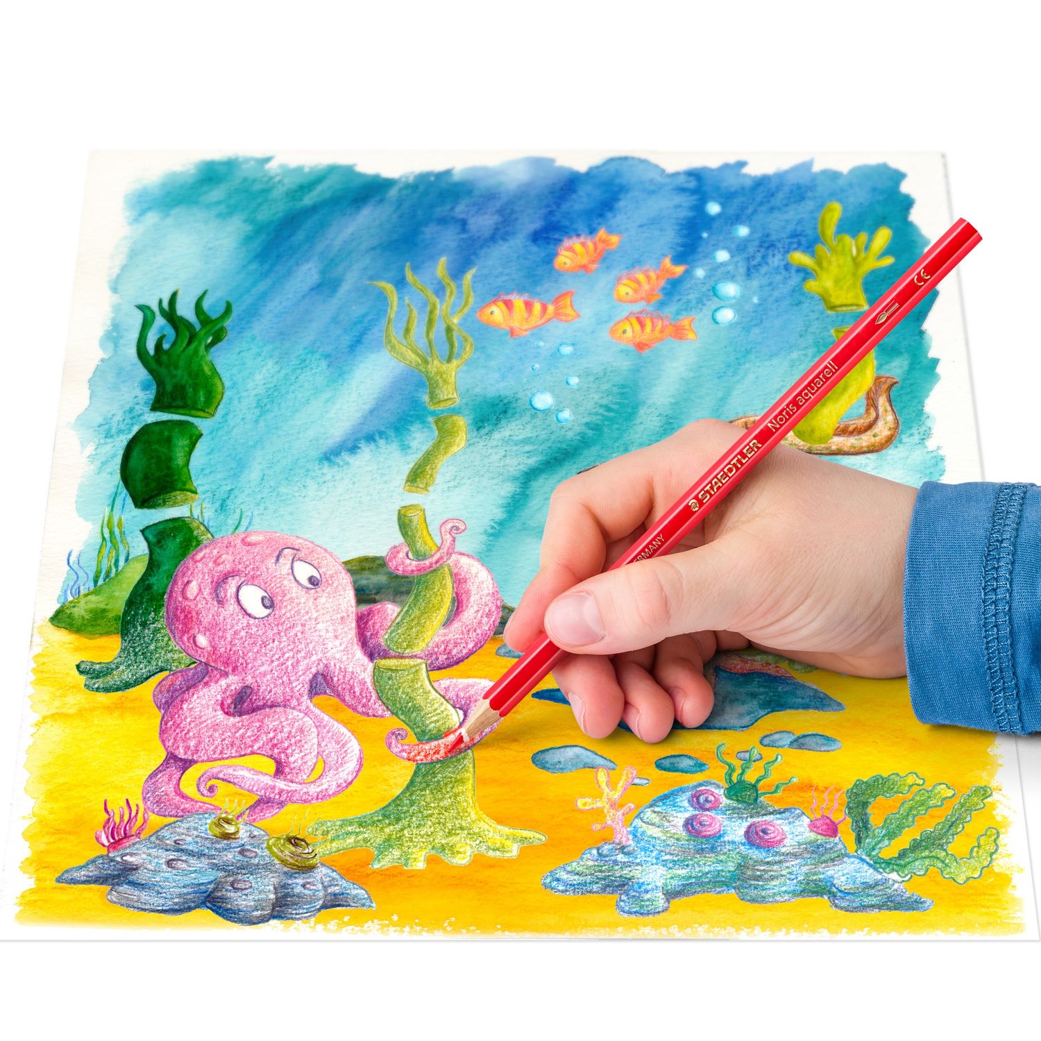 Staedtler - 24 Watercolour pencil – Image 4