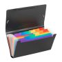 Trieur format chèque 12 compartiments - Viquel Rainbow Class