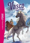 Vasco, cheval de coeur 6 Vasco, cheval de coeur, Tome 06 – Le cheval sauvage
