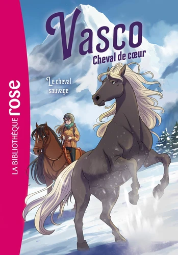 Vasco, cheval de coeur 6 Vasco, cheval de coeur, Tome 06 - Le cheval sauvage