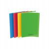 Cahier Seyes  A4 96p 80g  Polypro couleurs assortis. Cambridge