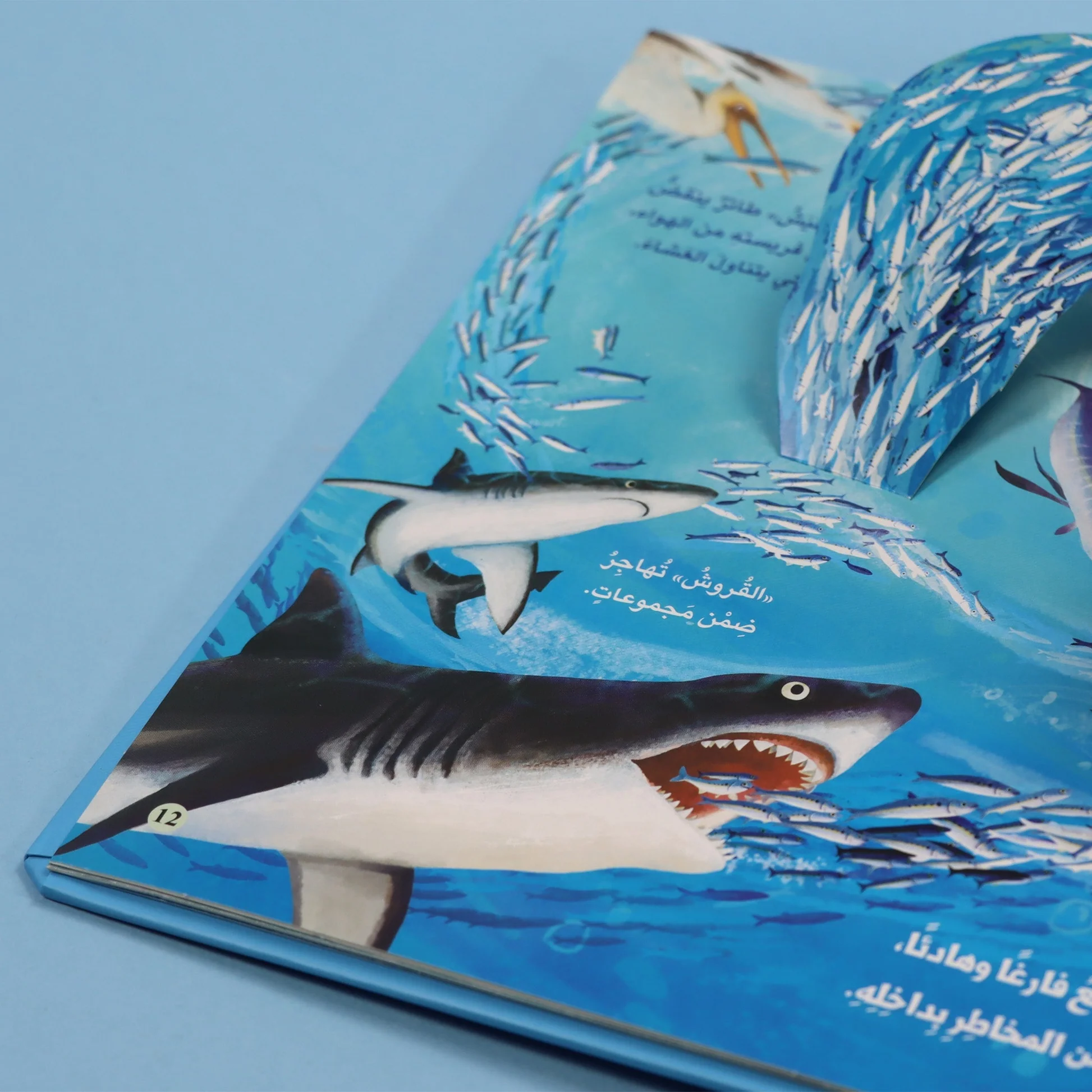 3D مملكة الحيوان: المحيط – Image 5